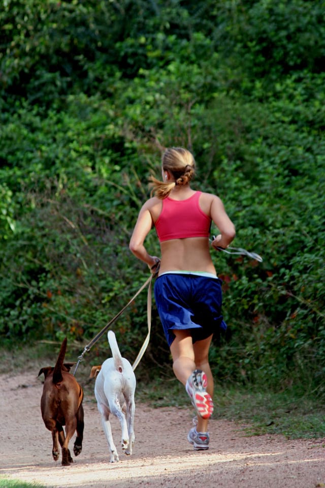 joging with 2 dogs